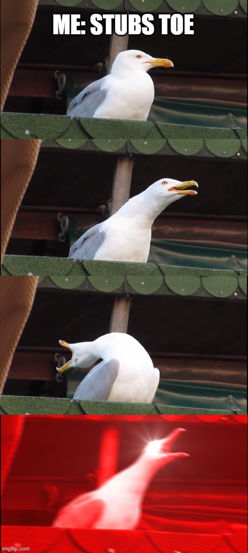 Inhaling Seagull Meme | ME: STUBS TOE | image tagged in memes,inhaling seagull | made w/ Imgflip meme maker