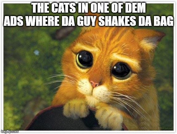 Shrek Cat Meme | THE CATS IN ONE OF DEM ADS WHERE DA GUY SHAKES DA BAG | image tagged in memes,shrek cat | made w/ Imgflip meme maker
