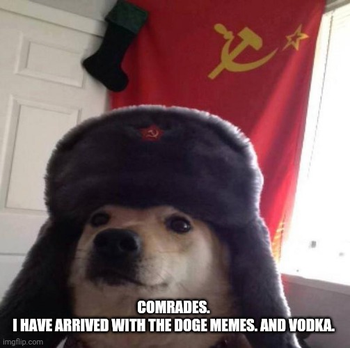 Glad I found the stream. | COMRADES. 
I HAVE ARRIVED WITH THE DOGE MEMES. AND VODKA. | image tagged in russian doge | made w/ Imgflip meme maker