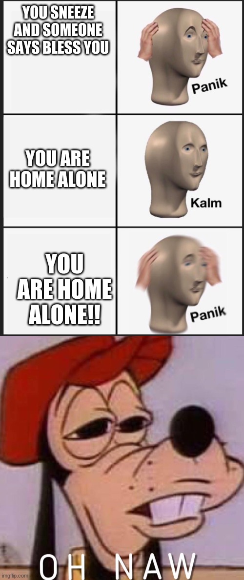 aww hell naw | YOU SNEEZE AND SOMEONE SAYS BLESS YOU; YOU ARE HOME ALONE; YOU ARE HOME ALONE!! | image tagged in oh naw,memes,panik kalm panik | made w/ Imgflip meme maker