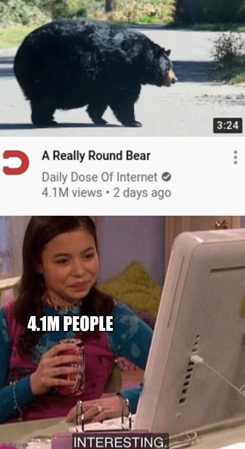 interesting round bear | image tagged in repost | made w/ Imgflip meme maker