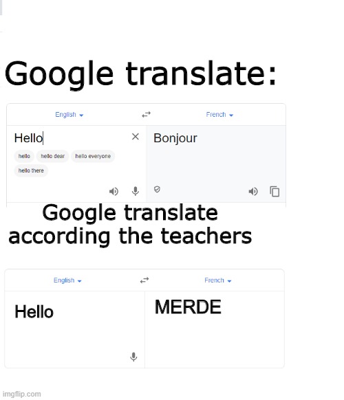 Translate | Google translate:; Google translate according the teachers; MERDE; Hello | image tagged in google translate,google,teacher,school | made w/ Imgflip meme maker