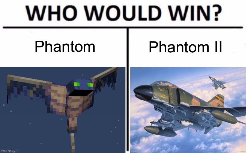 Phantom |  Phantom; Phantom II | image tagged in who would win,minecraft,aviation,phantom,memes | made w/ Imgflip meme maker
