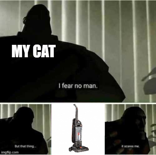 I fear no man | MY CAT | image tagged in i fear no man | made w/ Imgflip meme maker