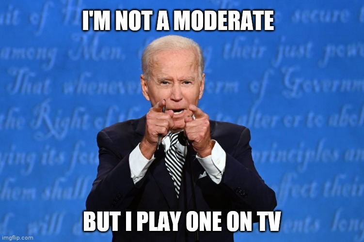 1980s throwback:) | I'M NOT A MODERATE; BUT I PLAY ONE ON TV | image tagged in memes | made w/ Imgflip meme maker