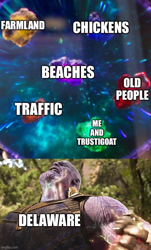 Thanos Infinity Stones | FARMLAND; CHICKENS; BEACHES; OLD PEOPLE; TRAFFIC; ME AND TRUSTIGOAT; DELAWARE | image tagged in thanos infinity stones,delaware | made w/ Imgflip meme maker