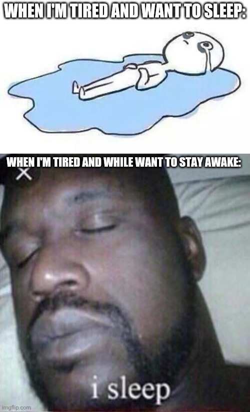 WHEN I'M TIRED AND WANT TO SLEEP:; WHEN I'M TIRED AND WHILE WANT TO STAY AWAKE: | image tagged in person crying,i sleep real shit | made w/ Imgflip meme maker