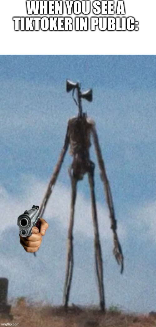 WHEN YOU SEE A TIKTOKER IN PUBLIC: | image tagged in blank white template,siren head with gun,tik tok,tiktok | made w/ Imgflip meme maker