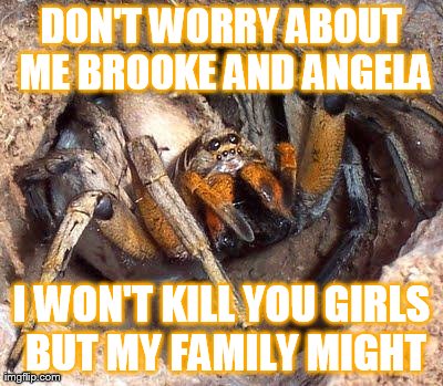 DON'T WORRY ABOUT ME BROOKE AND ANGELA I WON'T KILL YOU GIRLS BUT MY FAMILY MIGHT | image tagged in friendly scary spider | made w/ Imgflip meme maker