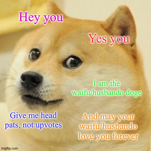 You have been visited by the waifu/husbando doge | Hey you; Yes you; I am the waifu/husbando doge; Give me head pats, not upvotes; And may your waifu/husbando love you forever | image tagged in memes,doge | made w/ Imgflip meme maker