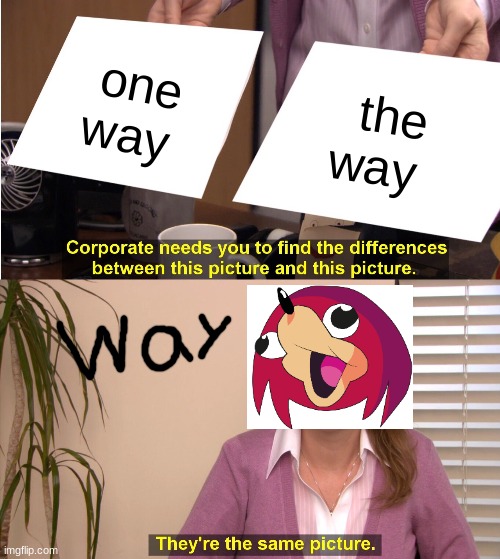 They're The Same Picture | one way; the way | image tagged in memes,they're the same picture | made w/ Imgflip meme maker