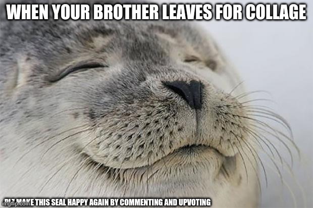 Satisfied Seal Meme | WHEN YOUR BROTHER LEAVES FOR COLLAGE; PLZ MAKE THIS SEAL HAPPY AGAIN BY COMMENTING AND UPVOTING | image tagged in memes,satisfied seal | made w/ Imgflip meme maker