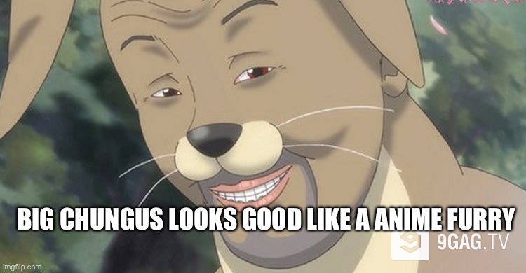 Weird anime hentai furry | BIG CHUNGUS LOOKS GOOD LIKE A ANIME FURRY | image tagged in weird anime hentai furry | made w/ Imgflip meme maker
