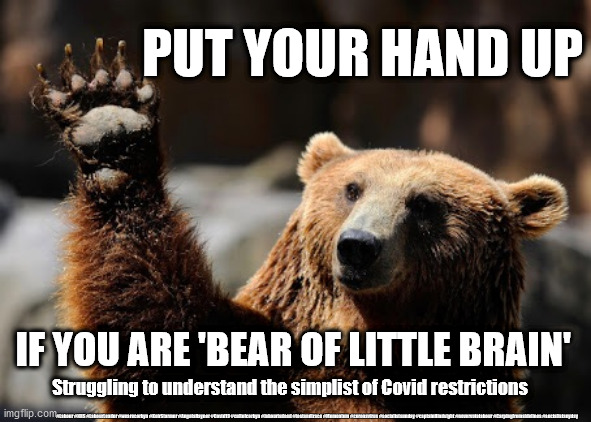Covid - Bear restrictions | PUT YOUR HAND UP; IF YOU ARE 'BEAR OF LITTLE BRAIN'; Struggling to understand the simplist of Covid restrictions; #Labour #NHS #LabourLeader #wearecorbyn #KeirStarmer #AngelaRayner #Covid19 #cultofcorbyn #labourisdead #testandtrace #Momentum #coronavirus #socialistsunday #captainHindsight #nevervotelabour #Carpingfromsidelines #socialistanyday | image tagged in local lockdown tier 1 2 3,corona virus covid 19,funny,meme,labour lockdown,labour circuit break | made w/ Imgflip meme maker