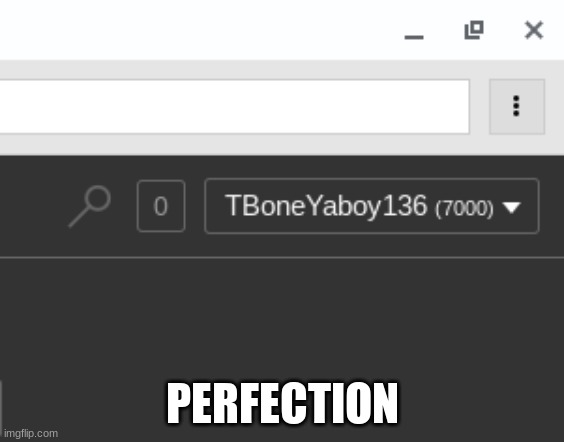 PErfect | PERFECTION | image tagged in perfection,imgflip points | made w/ Imgflip meme maker