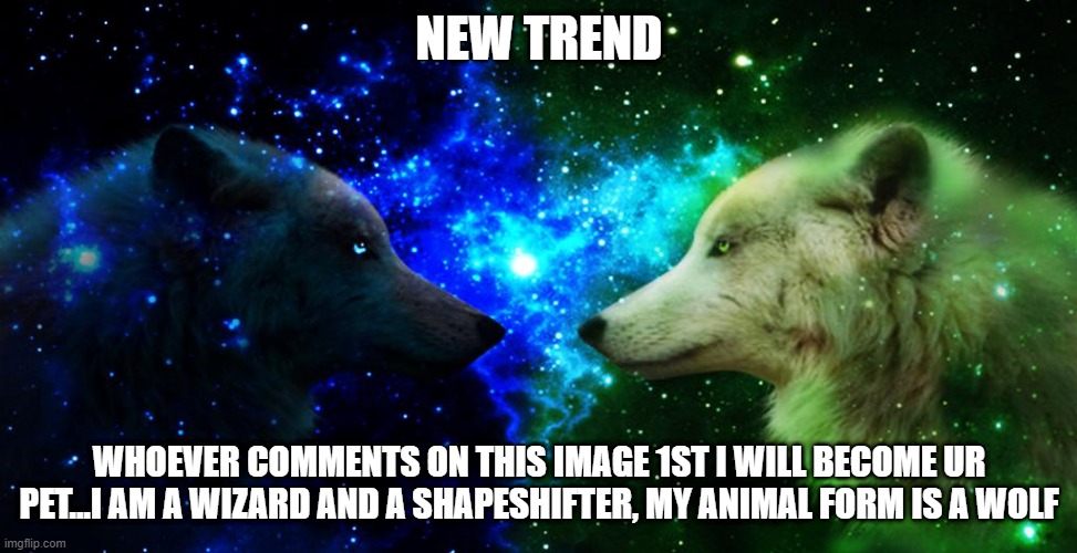 trend...im bored | NEW TREND; WHOEVER COMMENTS ON THIS IMAGE 1ST I WILL BECOME UR PET...I AM A WIZARD AND A SHAPESHIFTER, MY ANIMAL FORM IS A WOLF | image tagged in trends,pets,wizard,wolf | made w/ Imgflip meme maker
