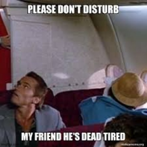 Please don't disturb my friend he's dead tired | image tagged in please don't disturb my friend he's dead tired | made w/ Imgflip meme maker
