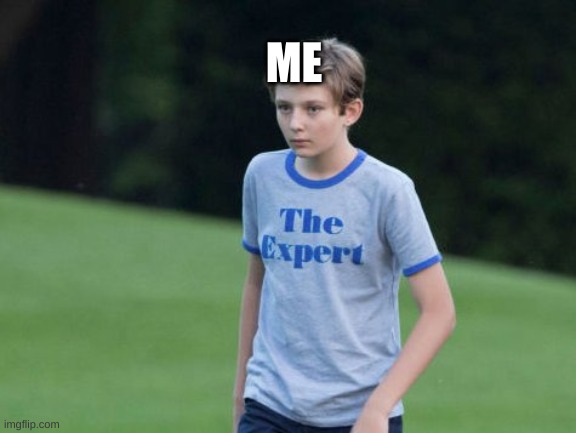 The Expert | ME | image tagged in the expert | made w/ Imgflip meme maker