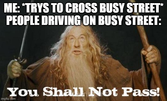 gandalf you shall not pass | ME: *TRYS TO CROSS BUSY STREET*
PEOPLE DRIVING ON BUSY STREET: | image tagged in gandalf you shall not pass | made w/ Imgflip meme maker