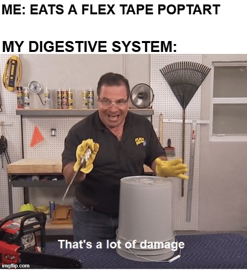 Thats alot of damage | ME: EATS A FLEX TAPE POPTART MY DIGESTIVE SYSTEM: | image tagged in thats alot of damage | made w/ Imgflip meme maker