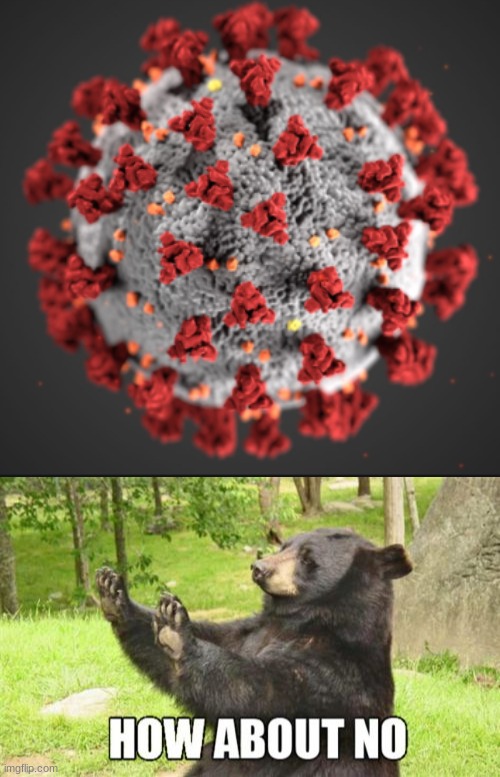 Covid Is the worst | image tagged in memes,how about no bear | made w/ Imgflip meme maker