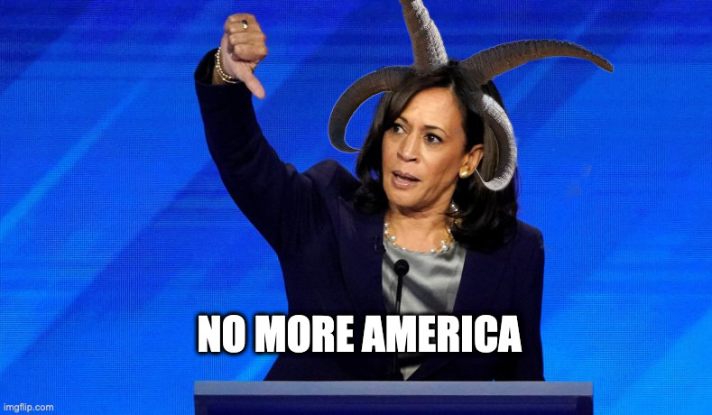 Kamala Stan | NO MORE AMERICA | image tagged in dike,tranny,buttlicker,fun,skeptical baby | made w/ Imgflip meme maker