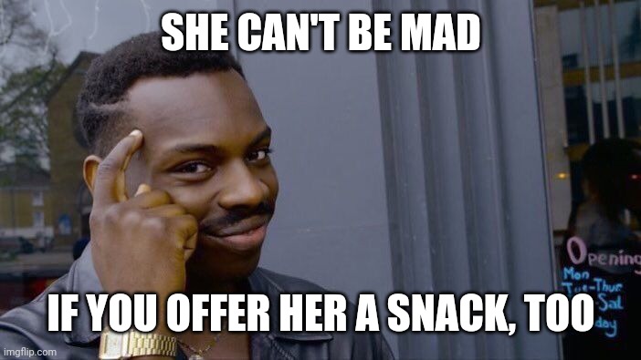 Roll Safe Think About It Meme | SHE CAN'T BE MAD IF YOU OFFER HER A SNACK, TOO | image tagged in memes,roll safe think about it | made w/ Imgflip meme maker