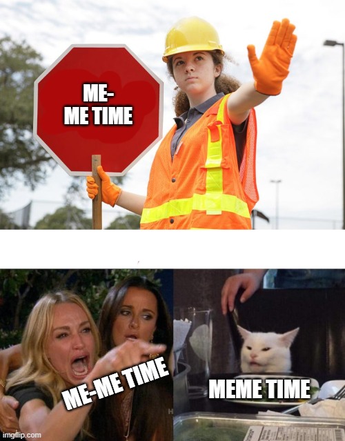 mememememememes | ME- ME TIME; ME-ME TIME; MEME TIME | image tagged in memes,woman yelling at cat | made w/ Imgflip meme maker