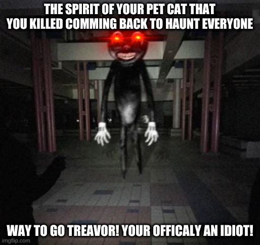 The meme origin of the cartoon cat | THE SPIRIT OF YOUR PET CAT THAT YOU KILLED COMMING BACK TO HAUNT EVERYONE; WAY TO GO TREAVOR! YOUR OFFICALY AN IDIOT! | image tagged in cartoon cat | made w/ Imgflip meme maker