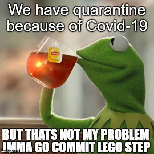 But That's None Of My Business | We have quarantine because of Covid-19; BUT THATS NOT MY PROBLEM; IMMA GO COMMIT LEGO STEP | image tagged in memes,but that's none of my business,kermit the frog | made w/ Imgflip meme maker