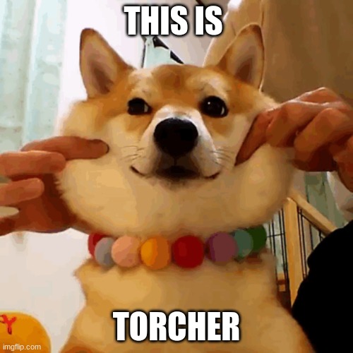 THIS IS; TORCHER | image tagged in torcher | made w/ Imgflip meme maker