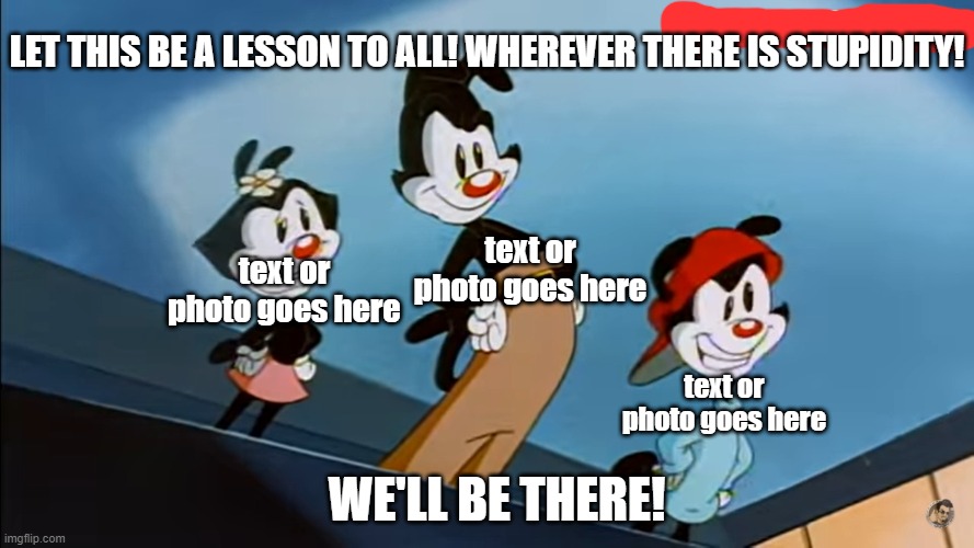 Wherever there is stupidity, we'll be there | text or photo goes here; text or photo goes here; text or photo goes here | image tagged in animaniacs,yakko,cartoon,warner bros,stupidity | made w/ Imgflip meme maker