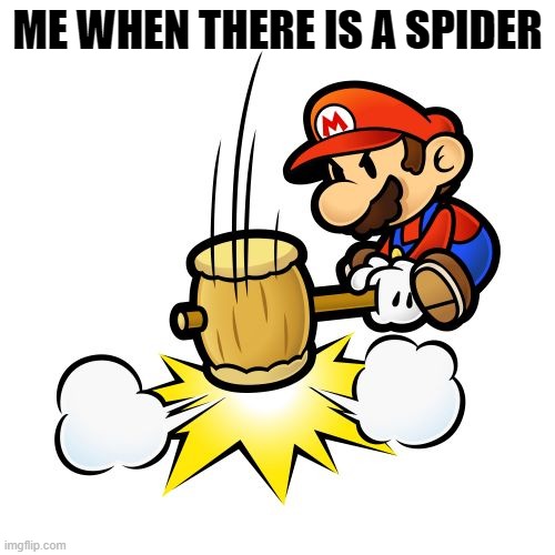 SPIDER!!! | ME WHEN THERE IS A SPIDER | image tagged in memes,mario hammer smash | made w/ Imgflip meme maker