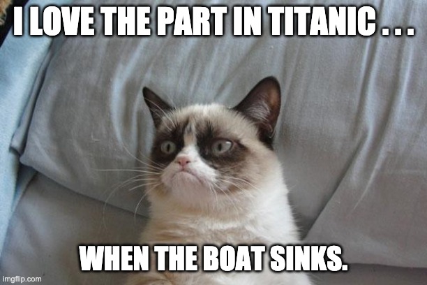 Grumpy Cat Bed | I LOVE THE PART IN TITANIC . . . WHEN THE BOAT SINKS. | image tagged in memes,grumpy cat bed,grumpy cat | made w/ Imgflip meme maker
