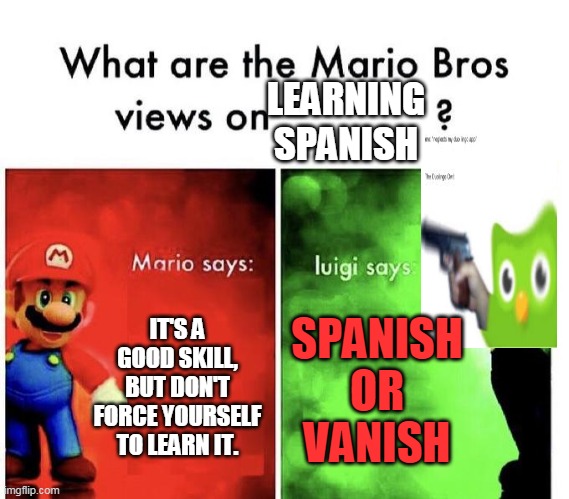 Mario Bros Views | IT'S A GOOD SKILL, BUT DON'T FORCE YOURSELF TO LEARN IT. SPANISH OR VANISH LEARNING SPANISH | image tagged in mario bros views | made w/ Imgflip meme maker