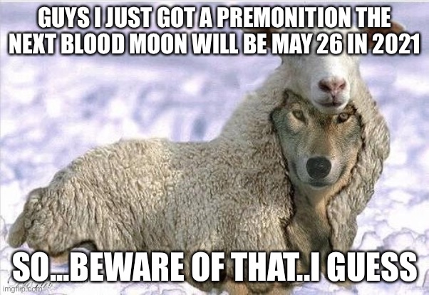 i got a premonition | GUYS I JUST GOT A PREMONITION THE NEXT BLOOD MOON WILL BE MAY 26 IN 2021; SO...BEWARE OF THAT..I GUESS | image tagged in wolf in sheeps clothing | made w/ Imgflip meme maker