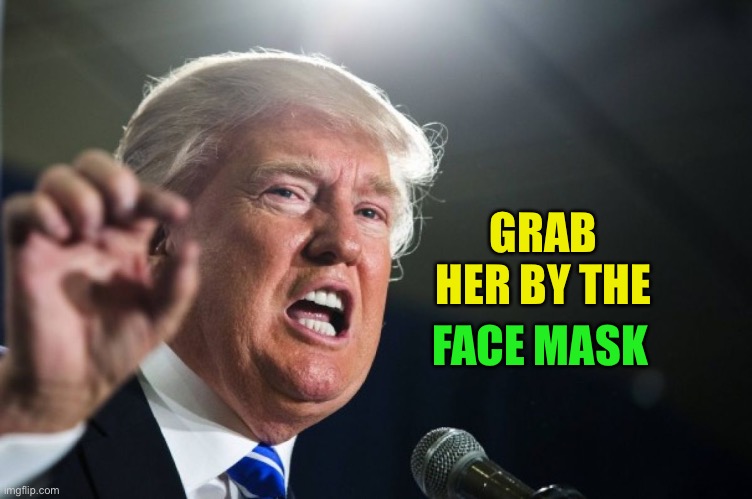 donald trump | GRAB HER BY THE FACE MASK | image tagged in donald trump | made w/ Imgflip meme maker
