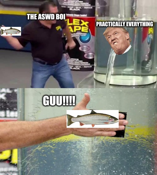 GUU!! | THE ASWD BOI; PRACTICALLY EVERYTHING; GUU!!!! | image tagged in flex tape | made w/ Imgflip meme maker