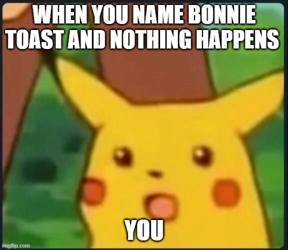 Surprised Pikachu | WHEN YOU NAME BONNIE TOAST AND NOTHING HAPPENS; YOU | image tagged in surprised pikachu | made w/ Imgflip meme maker