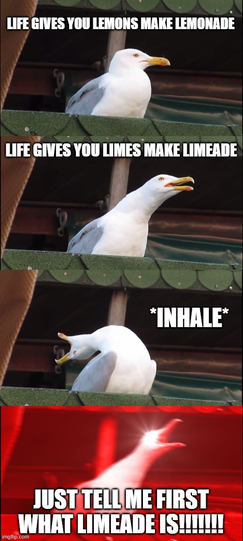 Inhaling Seagull | LIFE GIVES YOU LEMONS MAKE LEMONADE; LIFE GIVES YOU LIMES MAKE LIMEADE; *INHALE*; JUST TELL ME FIRST WHAT LIMEADE IS!!!!!!! | image tagged in memes,inhaling seagull | made w/ Imgflip meme maker