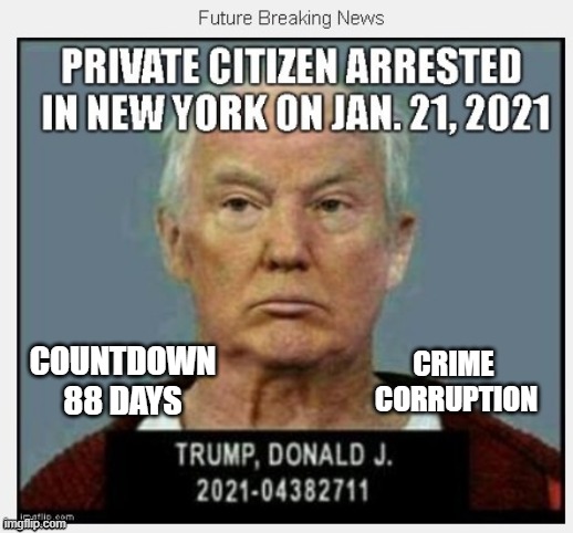 88 Days Until January 21, 2021 - COUNTDOWN In Progress - 100 Days Listing 100 Trump Crimes | CRIME 
CORRUPTION; COUNTDOWN
88 DAYS | image tagged in countdown,conman,liar,corrupt,traitor,bankrupt | made w/ Imgflip meme maker