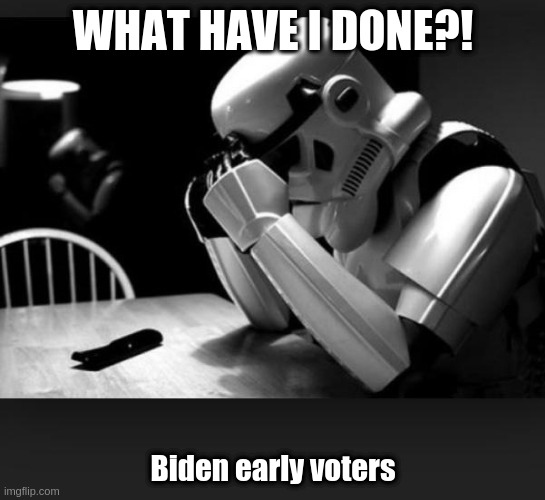 early voter regret | WHAT HAVE I DONE?! Biden early voters | image tagged in regret,ufdup | made w/ Imgflip meme maker