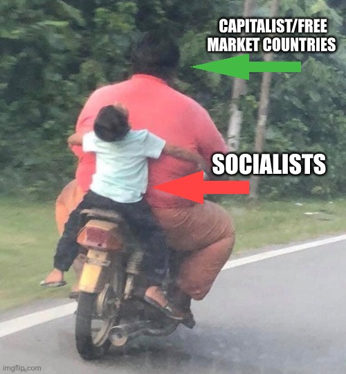 Leaches | CAPITALIST/FREE MARKET COUNTRIES; SOCIALISTS | image tagged in socialists,liberal logic,derp | made w/ Imgflip meme maker