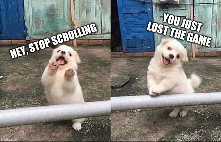 Hey, stop scrolling | YOU JUST LOST THE GAME; HEY, STOP SCROLLING | image tagged in hey stop scrolling | made w/ Imgflip meme maker