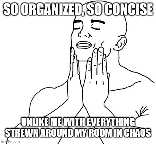 Satisfaction | SO ORGANIZED, SO CONCISE UNLIKE ME WITH EVERYTHING STREWN AROUND MY ROOM IN CHAOS | image tagged in satisfaction | made w/ Imgflip meme maker