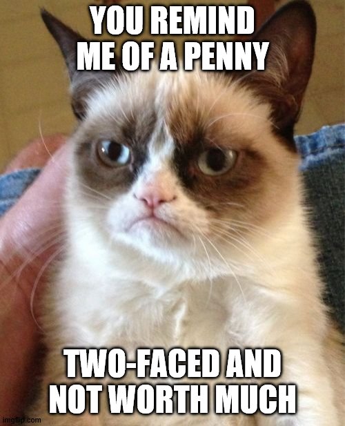 You remind me of a penny | YOU REMIND ME OF A PENNY; TWO-FACED AND NOT WORTH MUCH | image tagged in memes,grumpy cat | made w/ Imgflip meme maker