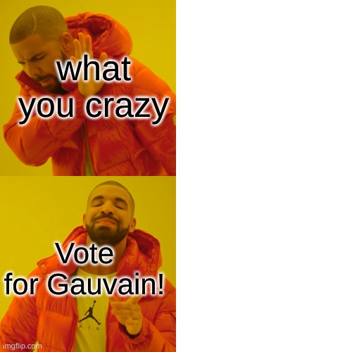 vote Gauvain | what you crazy; Vote for Gauvain! | image tagged in memes,drake hotline bling | made w/ Imgflip meme maker