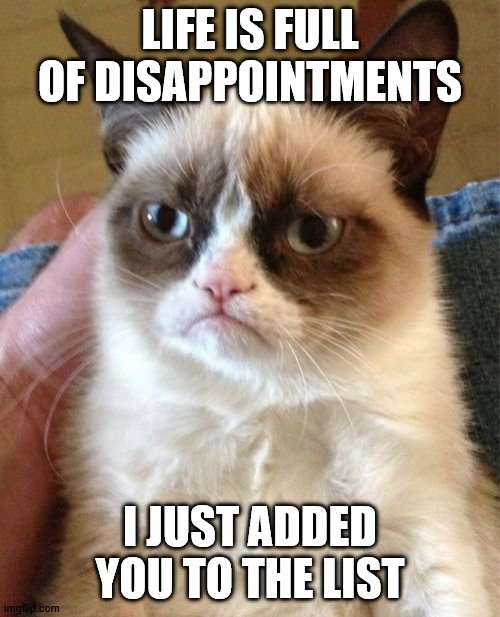Life is full of disappointments | LIFE IS FULL OF DISAPPOINTMENTS; I JUST ADDED YOU TO THE LIST | image tagged in memes,grumpy cat | made w/ Imgflip meme maker