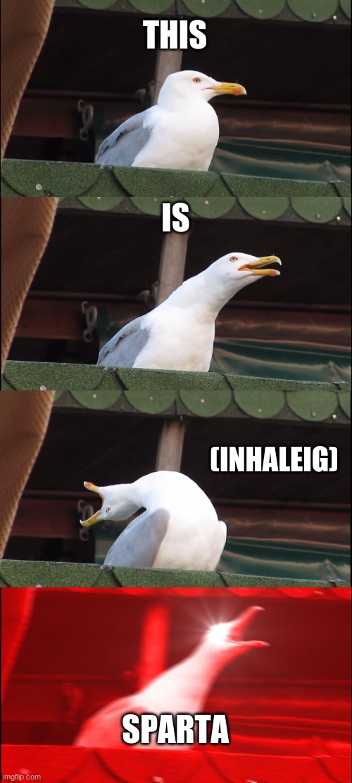 Inhaling Seagull Meme | THIS; IS; (INHALEIG); SPARTA | image tagged in memes,inhaling seagull | made w/ Imgflip meme maker