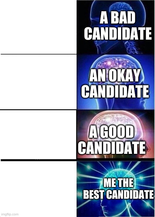 Expanding Brain | A BAD CANDIDATE; AN OKAY CANDIDATE; A GOOD CANDIDATE; ME THE BEST CANDIDATE | image tagged in memes,expanding brain | made w/ Imgflip meme maker